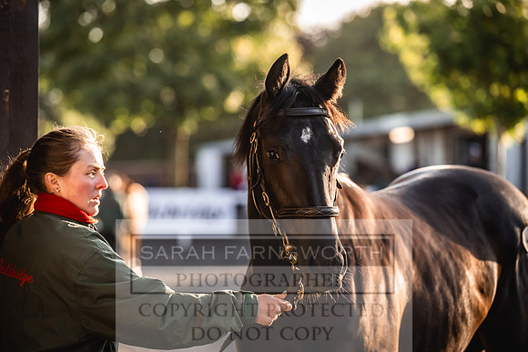 Goffs Orby Inspections 2023-10