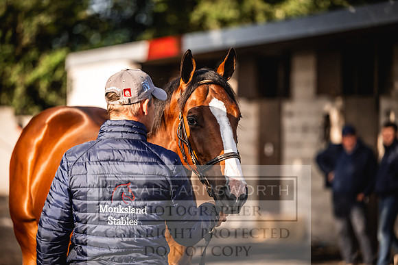 Goffs Orby Inspections 2023-98