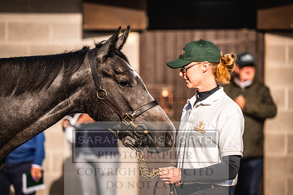 Goffs Orby Inspections 2023-141