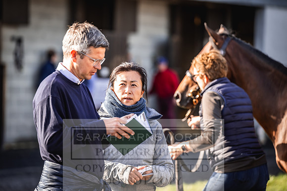 Goffs Orby Inspections 2023-126