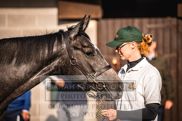 Goffs Orby Inspections 2023-140