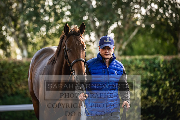 Goffs Orby Inspections 2023-85