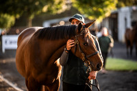 Goffs Orby Inspections 2023-3