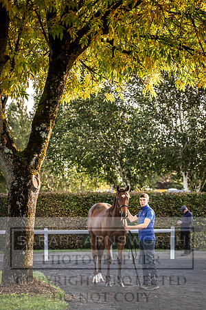 Goffs Orby Inspections 2023-77