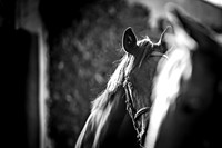 Goffs Orby Inspections 2023-15