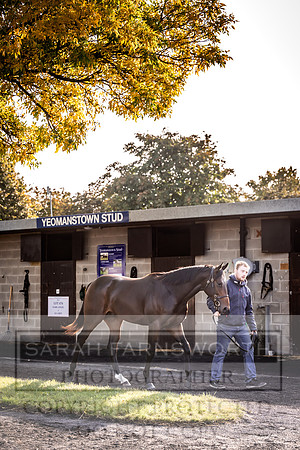 Goffs Orby Inspections 2023-129