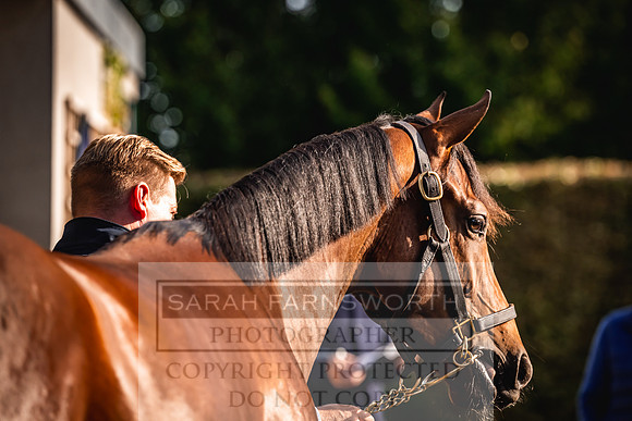 Goffs Orby Inspections 2023-113