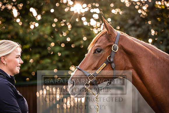 Goffs Orby Inspections 2023-56
