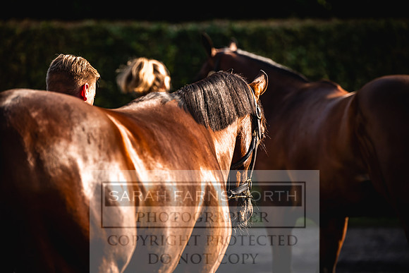 Goffs Orby Inspections 2023-115