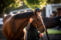Goffs Orby Inspections 2023-7