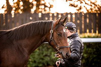 Goffs Orby Inspections 2023-20