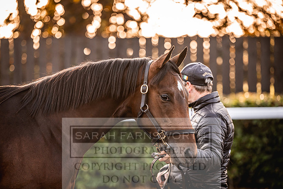 Goffs Orby Inspections 2023-20