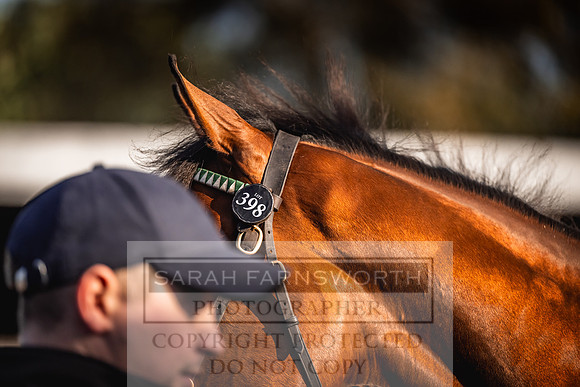 Goffs Orby Inspections 2023-105