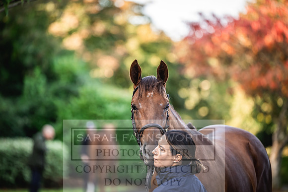 Goffs Orby Inspections 2023-22