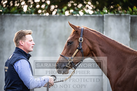 Goffs Orby Inspections 2023-47