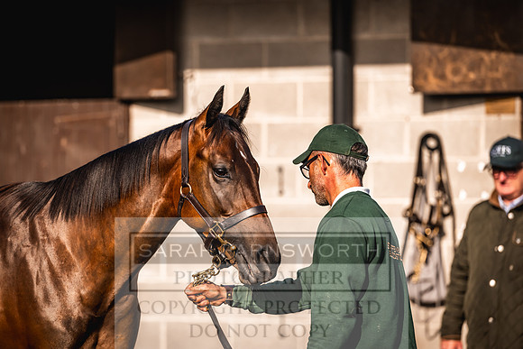 Goffs Orby Inspections 2023-151