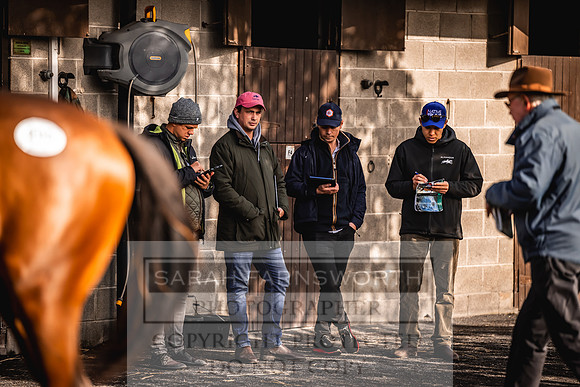 Goffs Orby Inspections 2023-177