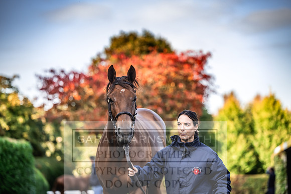 Goffs Orby Inspections 2023-27