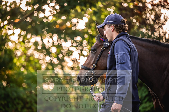 Goffs Orby Inspections 2023-36
