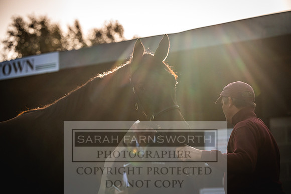 Goffs Orby Inspections 2023-96