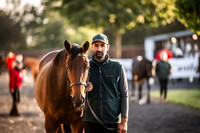 Goffs Orby Inspections 2023-2