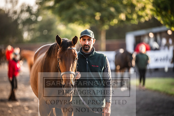 Goffs Orby Inspections 2023-2