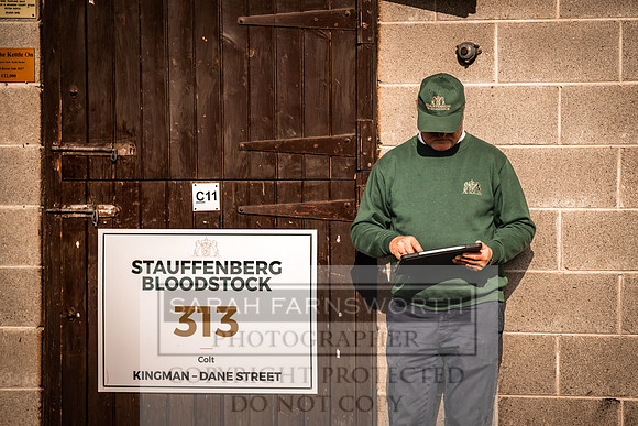 Goffs Orby Inspections 2023-144
