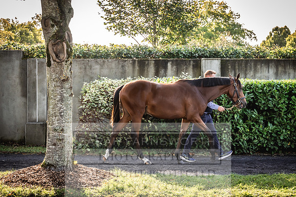 Goffs Orby Inspections 2023-118