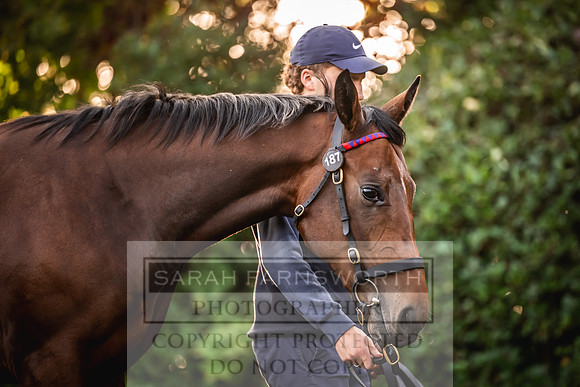 Goffs Orby Inspections 2023-37