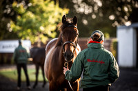 Goffs Orby Inspections 2023-13