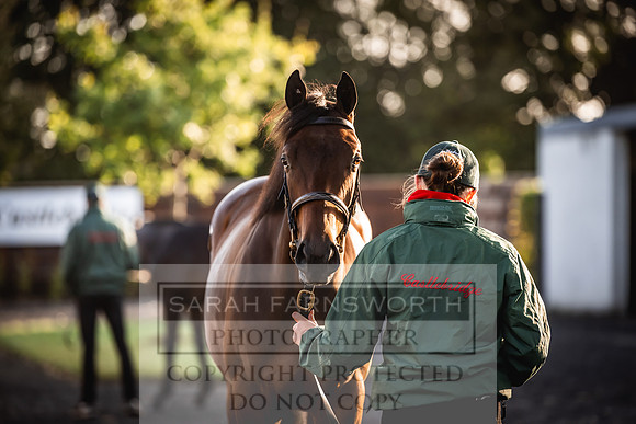 Goffs Orby Inspections 2023-13