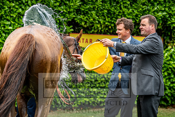 GUK Goodwood Sale 2019-31