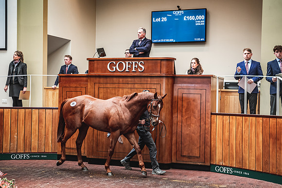 Goffs UK Breeze Up 2022-243
