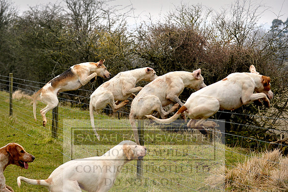 Boing!