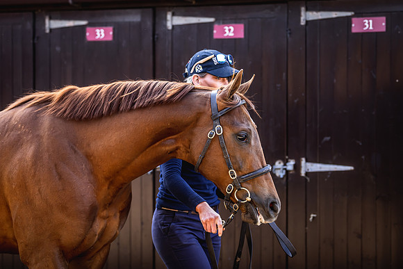 Goffs UK Breeze Up 2022-132