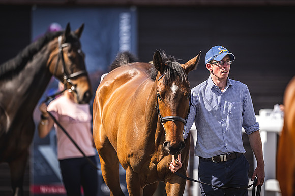 Goffs UK Spring Sale 22 Day 4-123