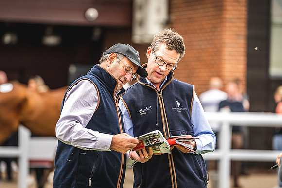 Goffs UK Spring Sale 22 Day 4-76