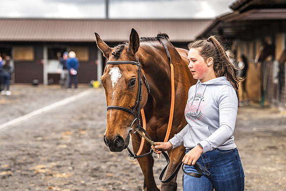 Goffs UK Spring Sale 22 Day 4-3