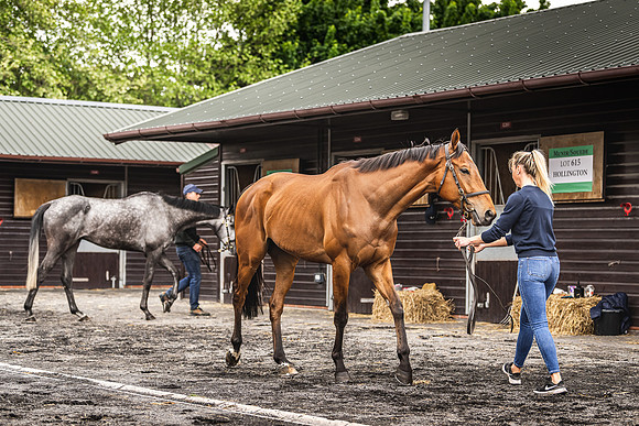 Goffs UK Spring Sale 22 Day 4-53