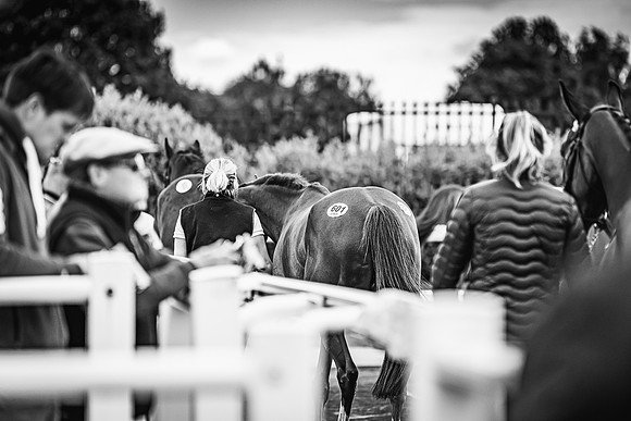 Goffs UK Spring Sale 22 Day 4-63