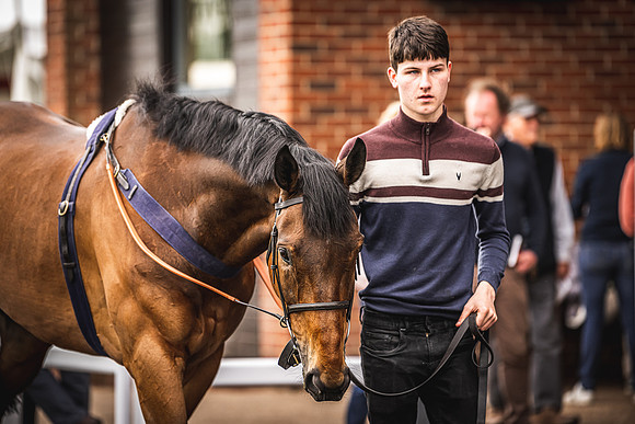 Goffs UK Spring Sale 22 Day 4-29