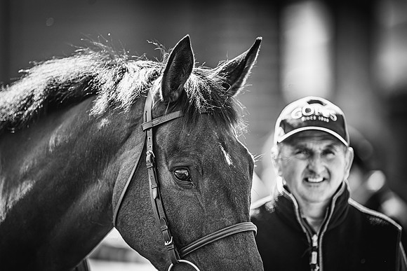 Goffs UK Spring Sale 22 Day 4-148