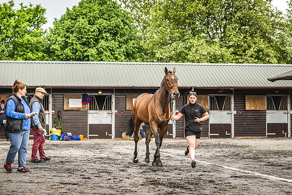 Goffs UK Spring Sale 22 Day 4-49