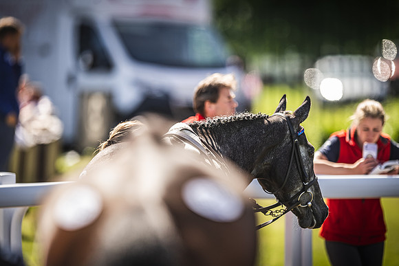 Goffs UK Spring Sale 22 Day 4-141