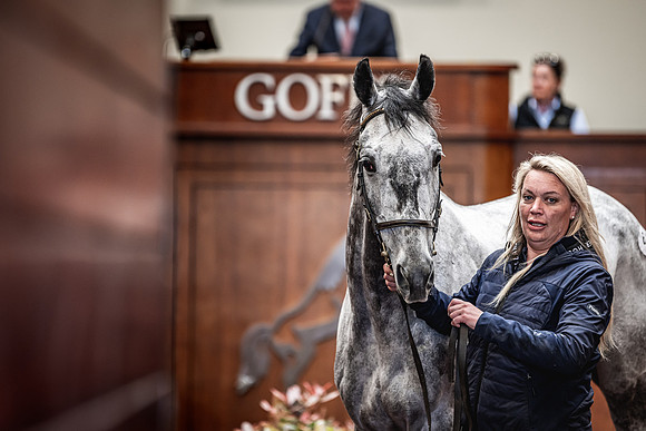 Goffs UK Spring Sale 22 Day 4-86