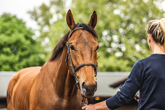 Goffs UK Spring Sale 22 Day 4-57