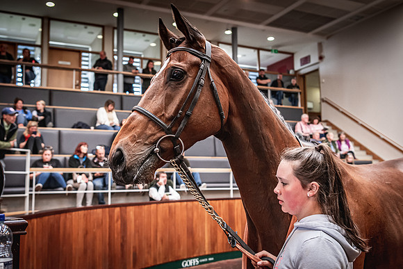 Goffs UK Spring Sale 22 Day 4-88