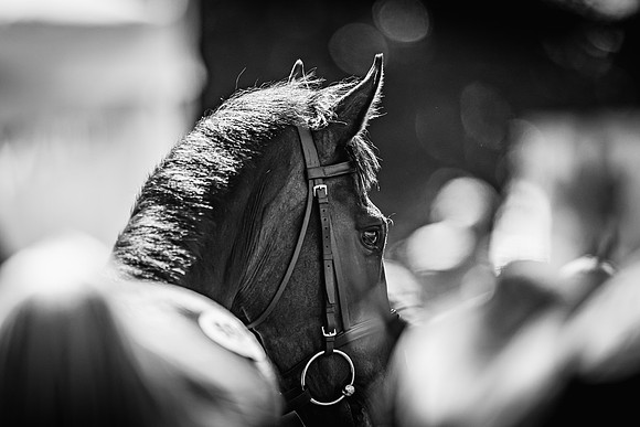 Goffs UK Spring Sale 22 Day 4-145
