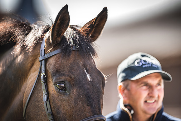 Goffs UK Spring Sale 22 Day 4-151