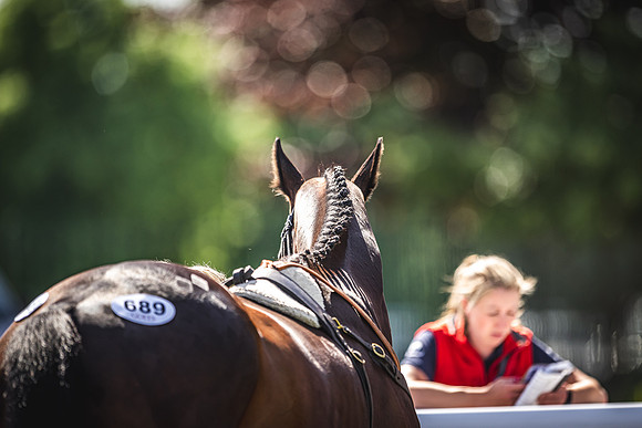 Goffs UK Spring Sale 22 Day 4-134
